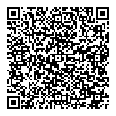 A Lenient QR vCard