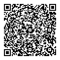 T Ervine QR vCard