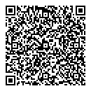 M Mangov QR vCard