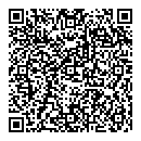 Doris Plotogea QR vCard