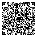 Denise Parliament QR vCard