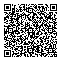 P Ford QR vCard