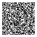 D Disheau QR vCard