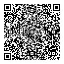 A Ingriselli QR vCard