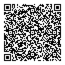 Lisa Mitron QR vCard