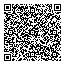 T Plane QR vCard