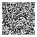 M King QR vCard