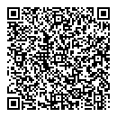 D Ansell QR vCard