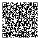 Mike Vildaer QR vCard