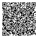 David Holeksa QR vCard