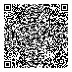 J Bostrom-pattvi QR vCard