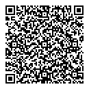 T Bingley QR vCard