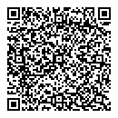 E Witty QR vCard