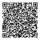 T Salerno QR vCard