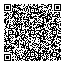 Terri Link QR vCard