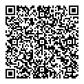 N Martel QR vCard