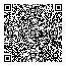 Ken Wm Mclaughlin QR vCard