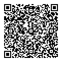 P Palmer QR vCard