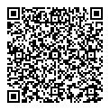 P Holmes QR vCard