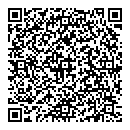 D Shlemkevich QR vCard