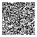 Lisa Howell QR vCard