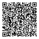 P Bradstreet QR vCard