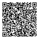 M Faudemer QR vCard