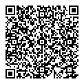 T Mclean QR vCard