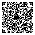 P Ford QR vCard