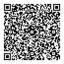 L Stubinsky QR vCard