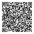 P Higginson QR vCard