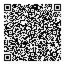 Andy Leblanc QR vCard