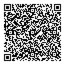 N Newton QR vCard