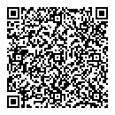 D Boissoneau QR vCard