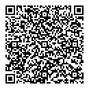 P Hodgson QR vCard