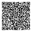 Diana Pyykonen QR vCard