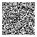 K Punch QR vCard