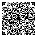 A Pino QR vCard