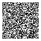 Antonio Fabbricino QR vCard