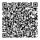 P Vallely QR vCard