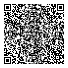  Lubex QR vCard