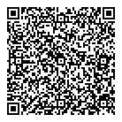 Laser Ink QR vCard