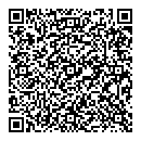 D Boisvert QR vCard