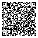 P Ricart QR vCard