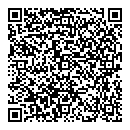 B Bisson QR vCard