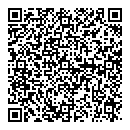 P Fleet QR vCard