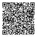 P Diamond QR vCard