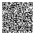 Davidee Temela QR vCard