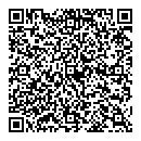 Aldo Villani QR vCard