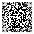 Setting Trend QR vCard